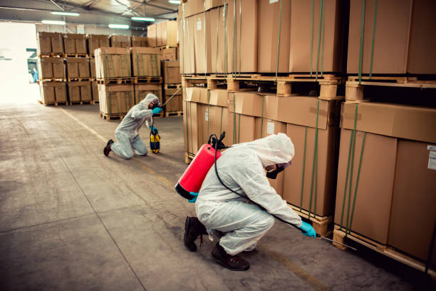 Reliable Hutchins, TX Pest Control Solutions