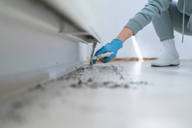 Pest Control Cost in Hutchins, TX