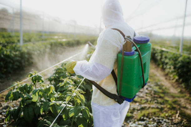 Best Affordable Pest Control Services  in Hutchins, TX